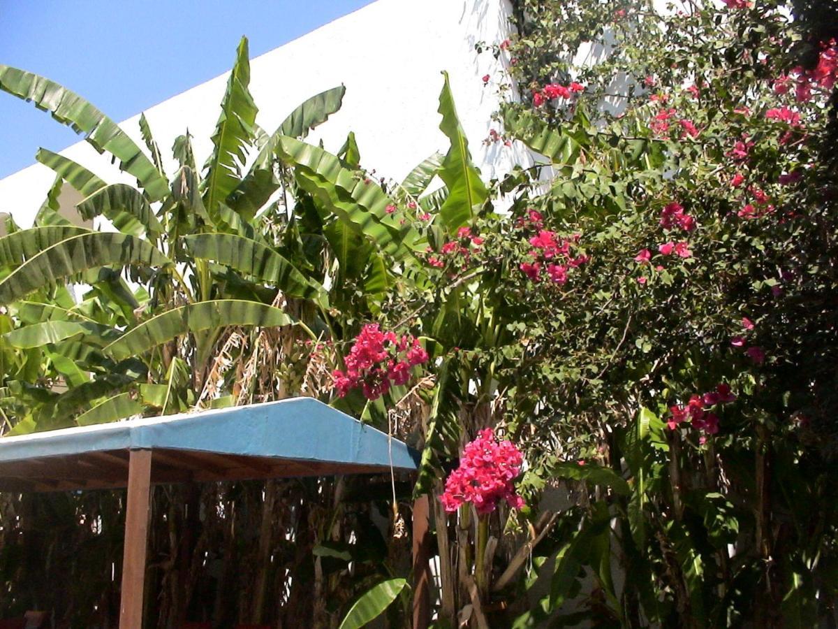 Sea Breeze 2 Apartments Mastihari Exterior foto