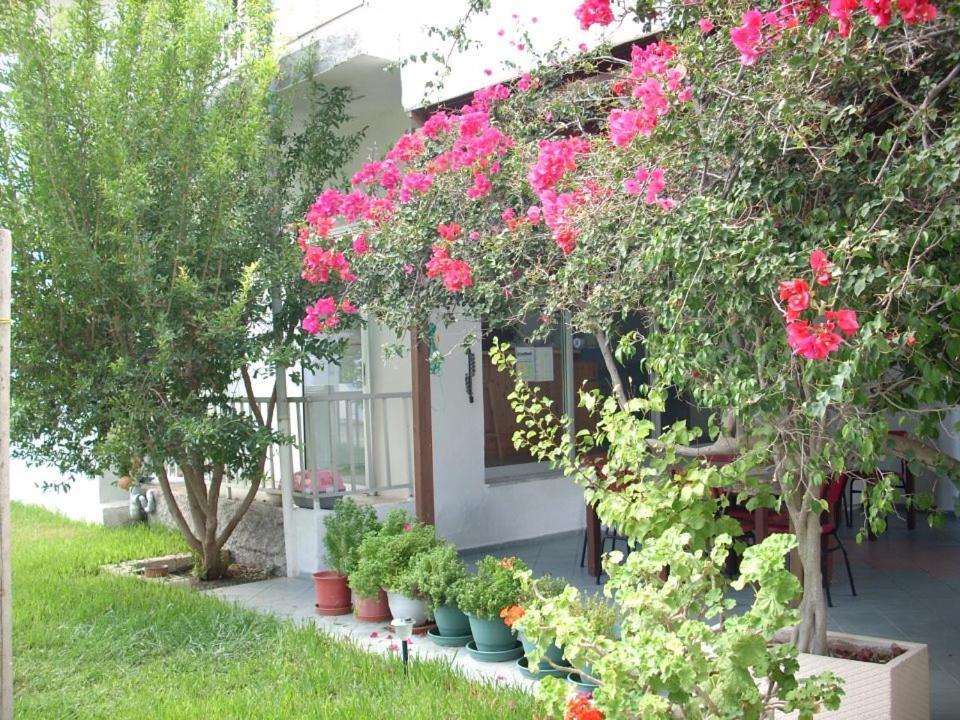 Sea Breeze 2 Apartments Mastihari Exterior foto